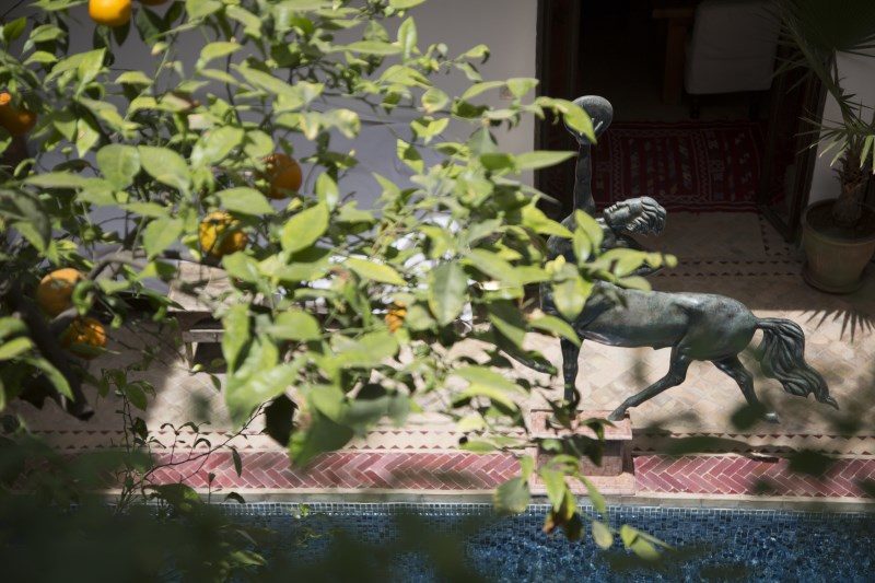 Enjoy the pool at Riad El Zohar